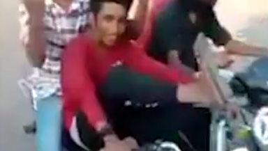 India cow collision
